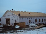 pics 005